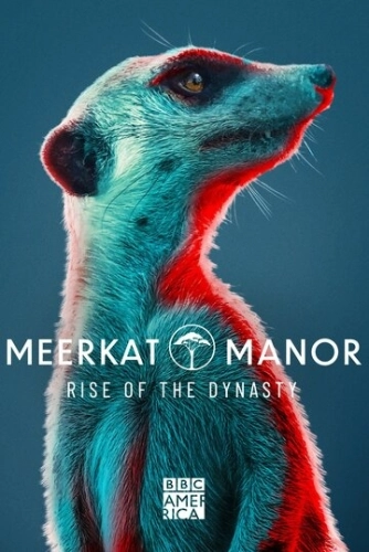 Meerkat Manor: Rise of the Dynasty (2021) смотреть онлайн